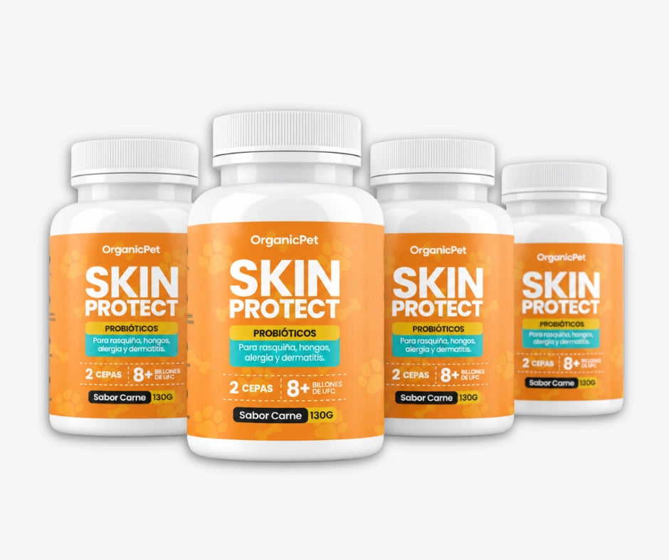 PAGA 2 LLEVA 4 SKIN PROTECT