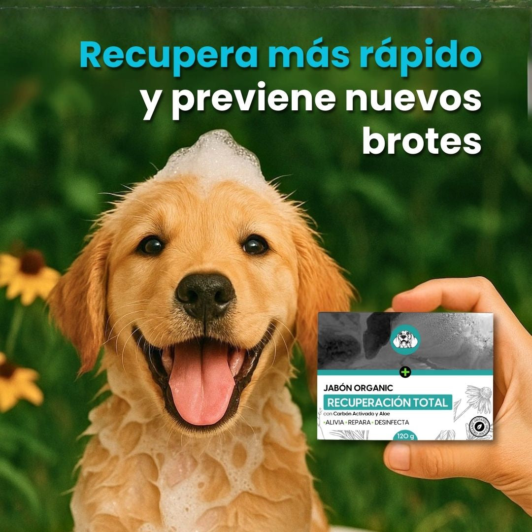 Producto Banner