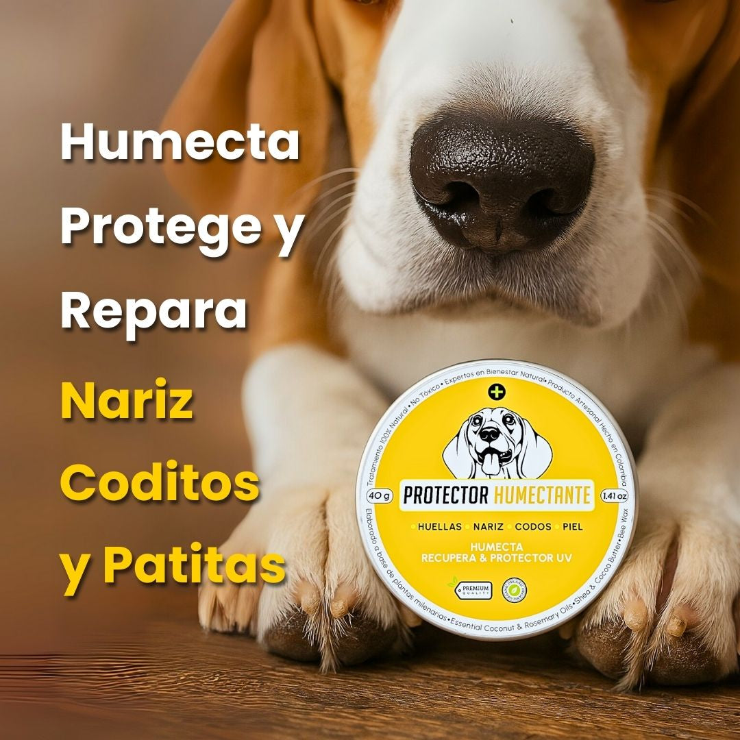 Producto Banner