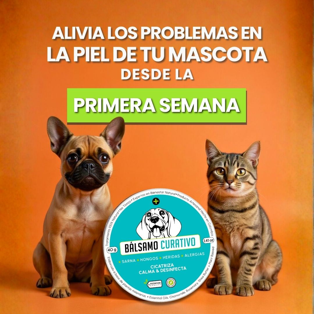 Producto Banner